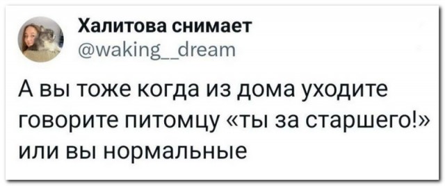 Забавные комментарии из социальных сетей (11.03.24)