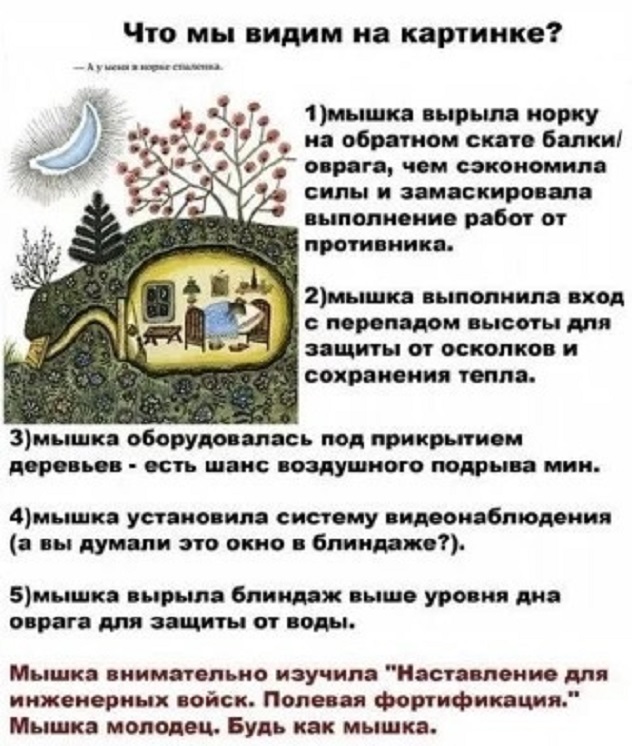 Так себе картинки 31.03.24