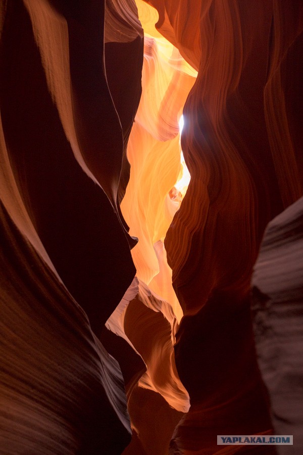 Моя Америка