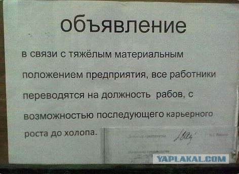 Как плотЮт, так и работаем(с)