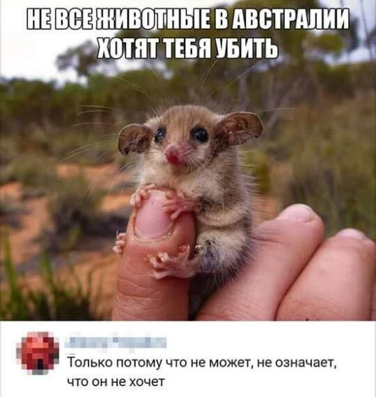 Сборник бабаянов или неожиданная помойка