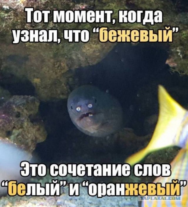 Всего понемногу. От 27.09.24