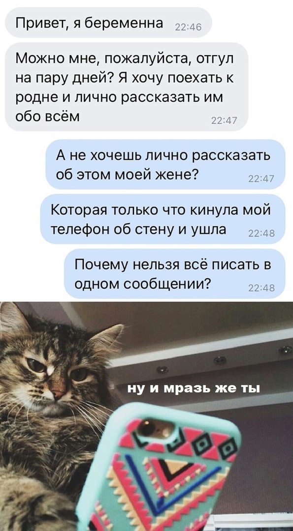 Так себе картинки 08.11.24