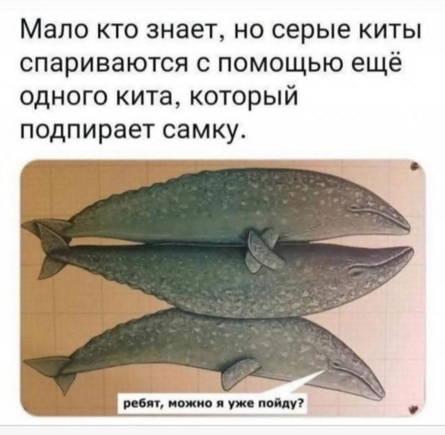 Так себе картинки 24.11.24