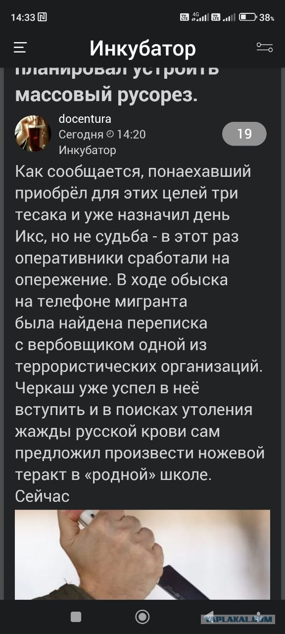 В Реутове предотвратили нападение на школу, которое готовил десятиклассник