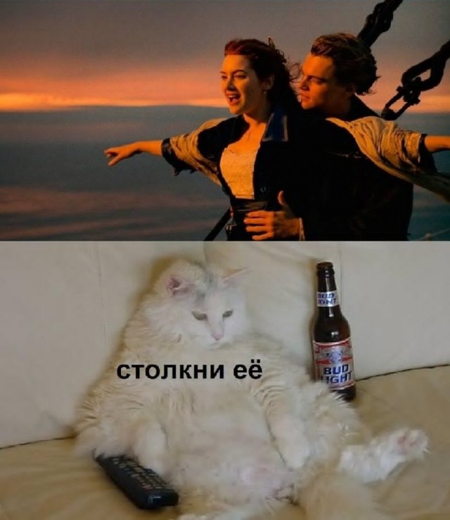 К котовторнику: подборка картинок-баянов с котиками и про котиков. Выпуск 3.