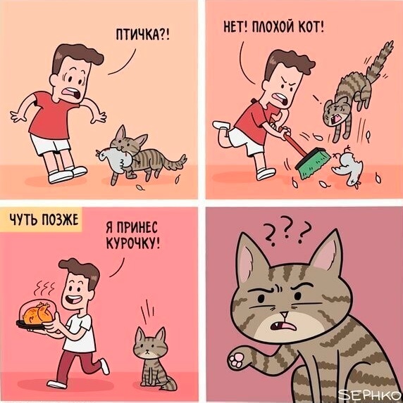 Смешные картинки с надписями на пятницу