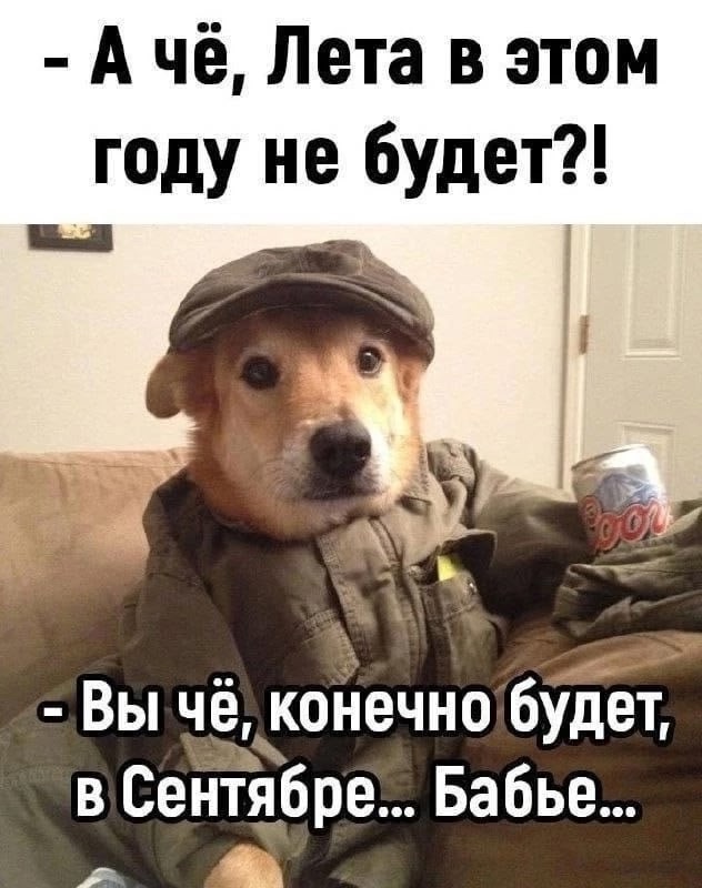 Так себе картинки 01.07.25