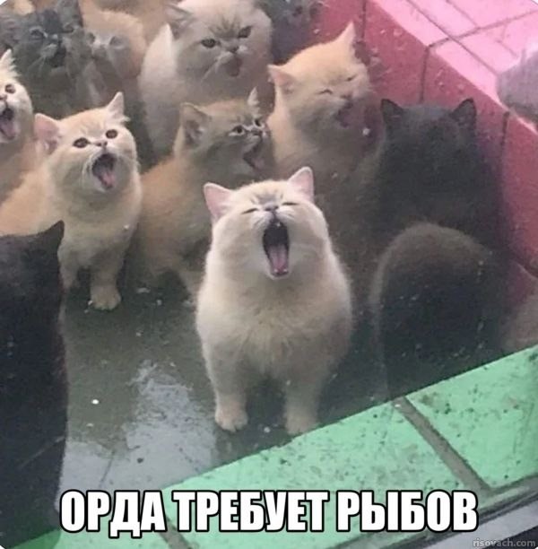 Картинок немного в среду утром