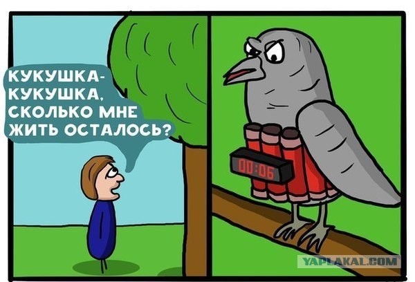 Сундук деграданта! Выпуск номер 9