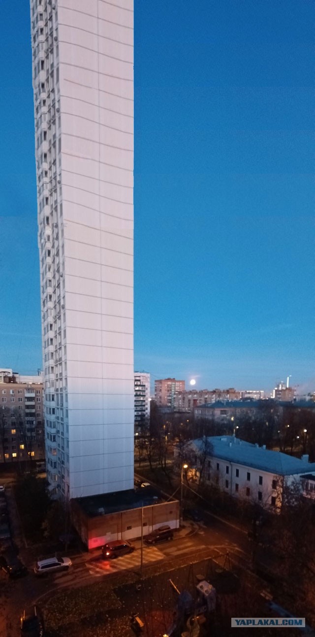 Красота