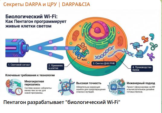 Как американская разведка научила ваш смартфон шпионить эффективнее