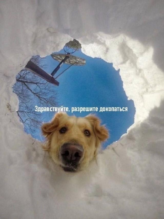Картинки пятничные