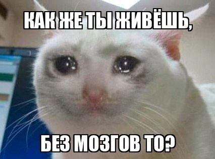 Что-то пошло не так