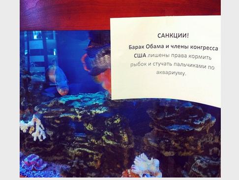 Наши санкции уже в интернете.