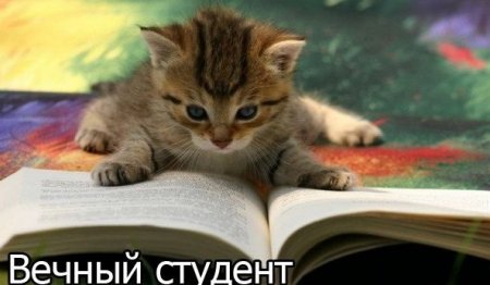 Подборка прикольных фото.