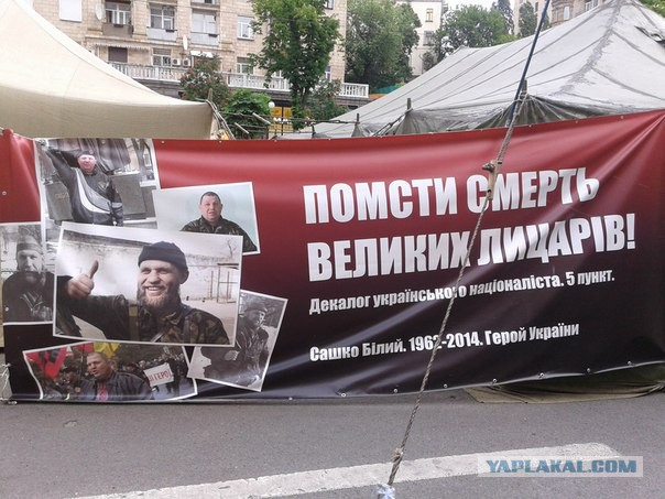 Майдан Сегодня