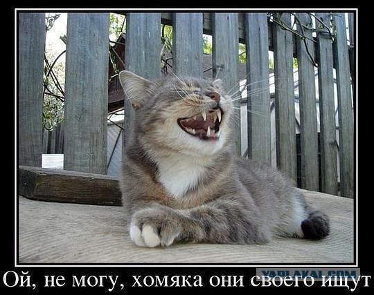 Позитивные картинки