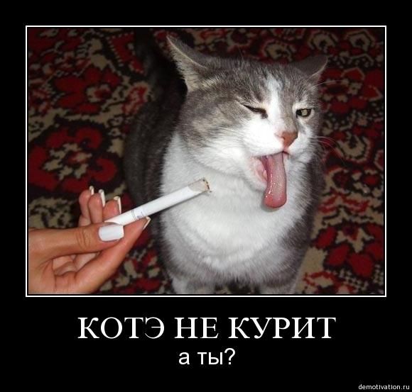 Электронные сигареты