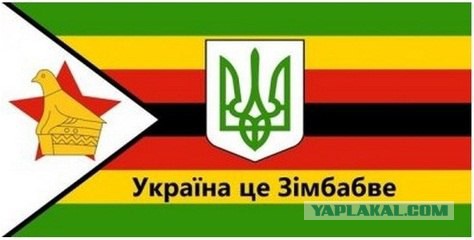 Во львовский супермаркет запустили 46 мышей.