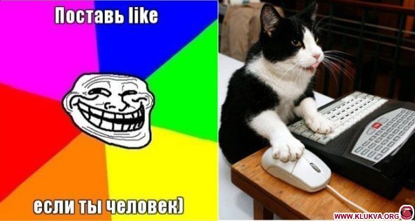 Плюсомет со шпалометом