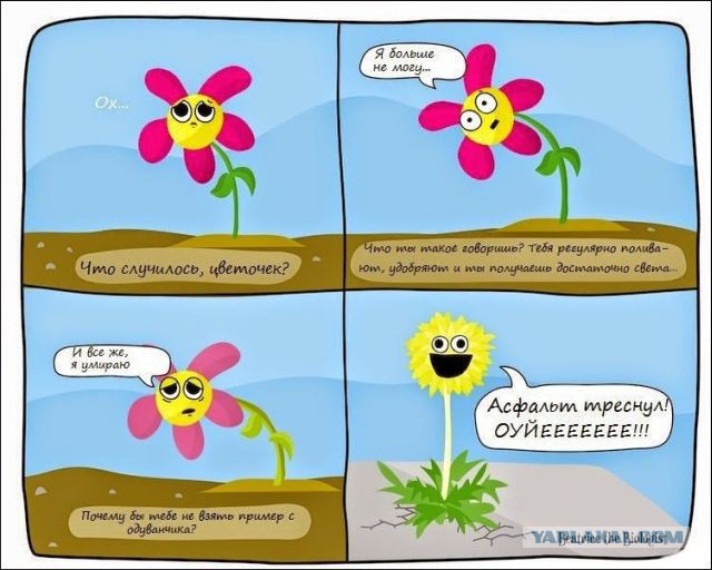 Подарочные конверты (2 шт)