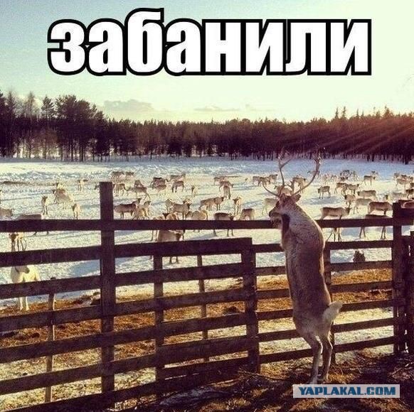 Как я себя чувствую после разбана