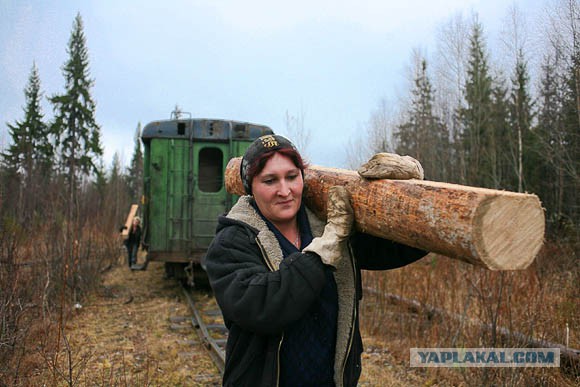 Такое возможно только в России.