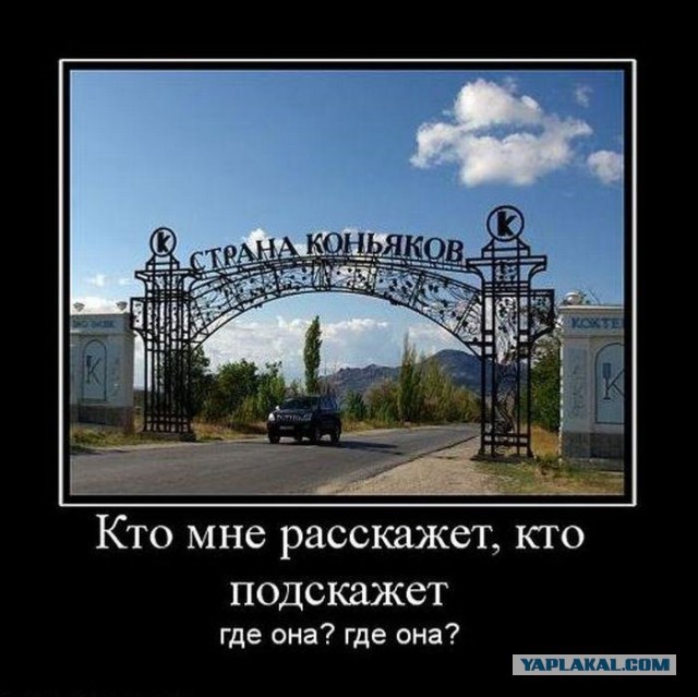 Прикольные картинки из сети