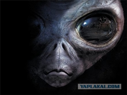 Так что такое, говорите, расизм?