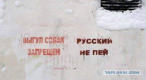 41 веселая картинка