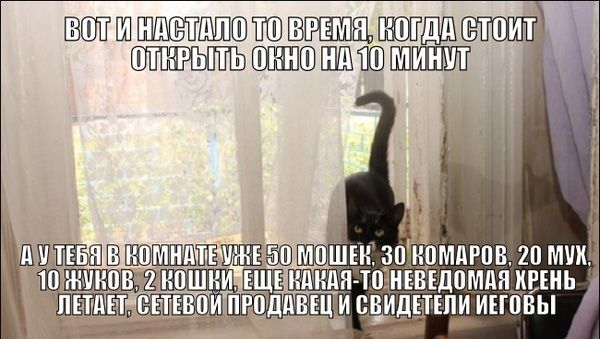 Картинки из сети