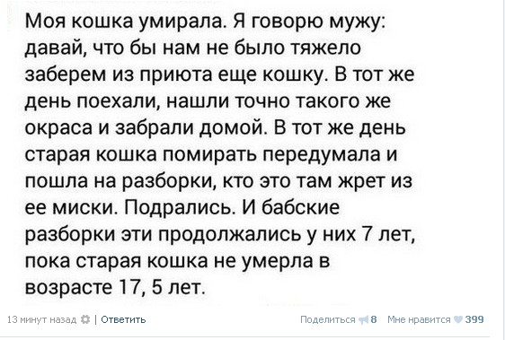 Ужасы и приколы из соцсетей 18+
