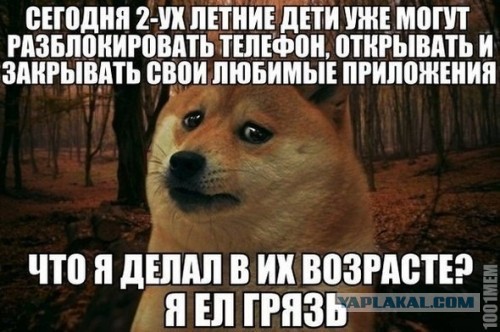 Веселые картинки