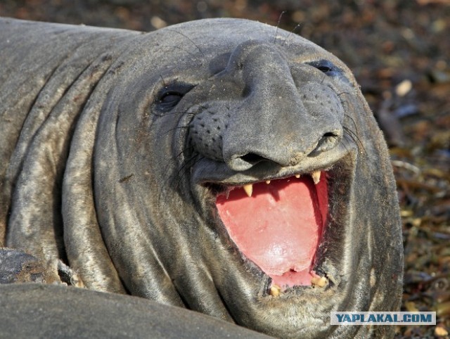 Как побить боксера и каратиста на улице:советы инструктора спецназа