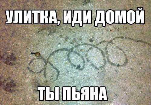 Божьи твари