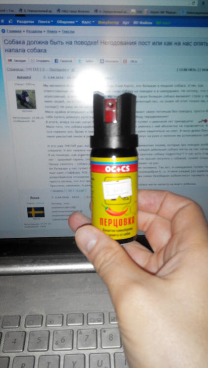 Собака должна быть на поводке! Негодования пост или как на нас опять напала собака
