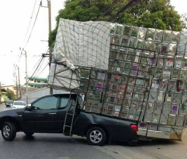 Интересные и смешные картинки!