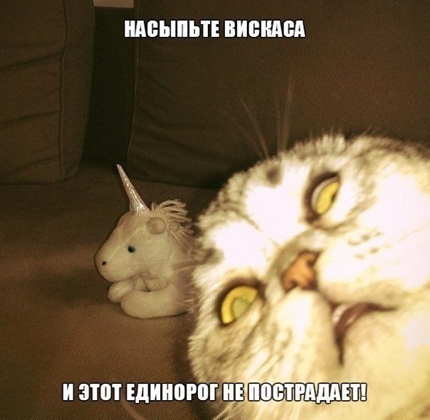 Мохнатые беспредельщики