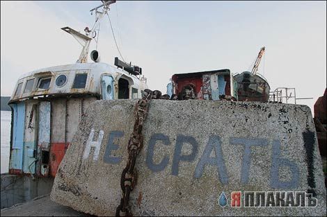 ВЫВЕСКИ, ТАБЛИЧКИ. Смешные и прикольные