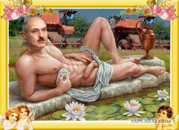 Не перевелись еще альфа-самцы на нашей планете