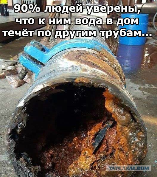 Жена