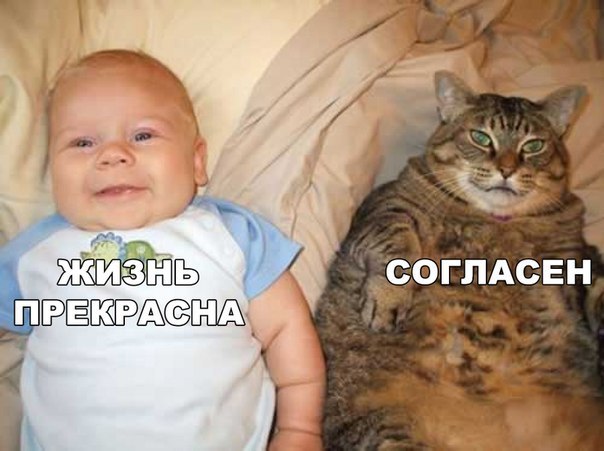 Немного картинок и гифок.