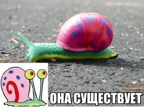 Весёлые картинки