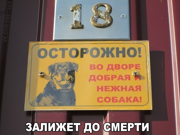 Ужасы и приколы из соцсетей 18+