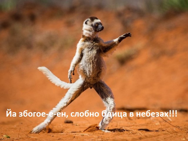Фото из конкурса на самую смешную фотографию дикой природы