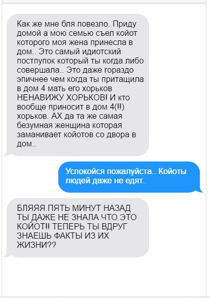 Как жена нашла койота