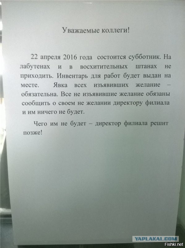 Всячина. Картинки и тексты картинками.