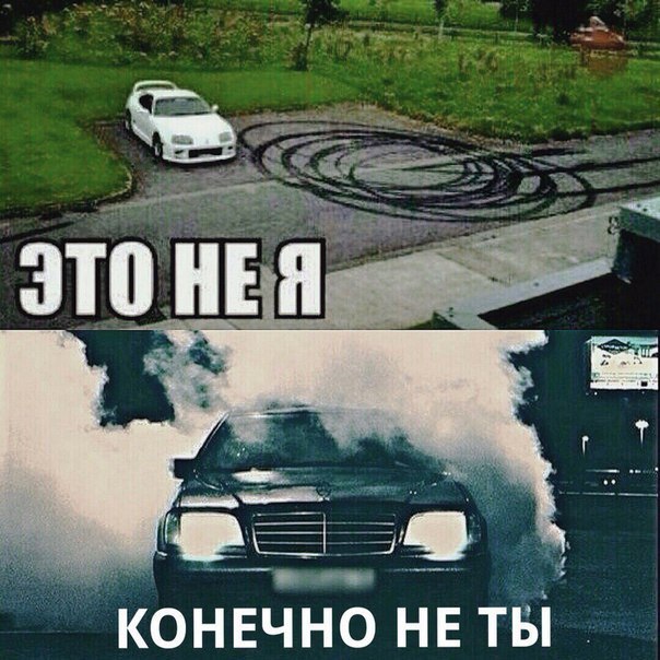 Подборка безудержного веселья