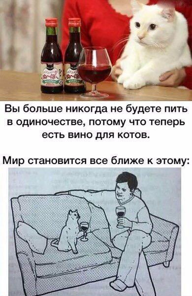 Подборка интересных и веселых картинок